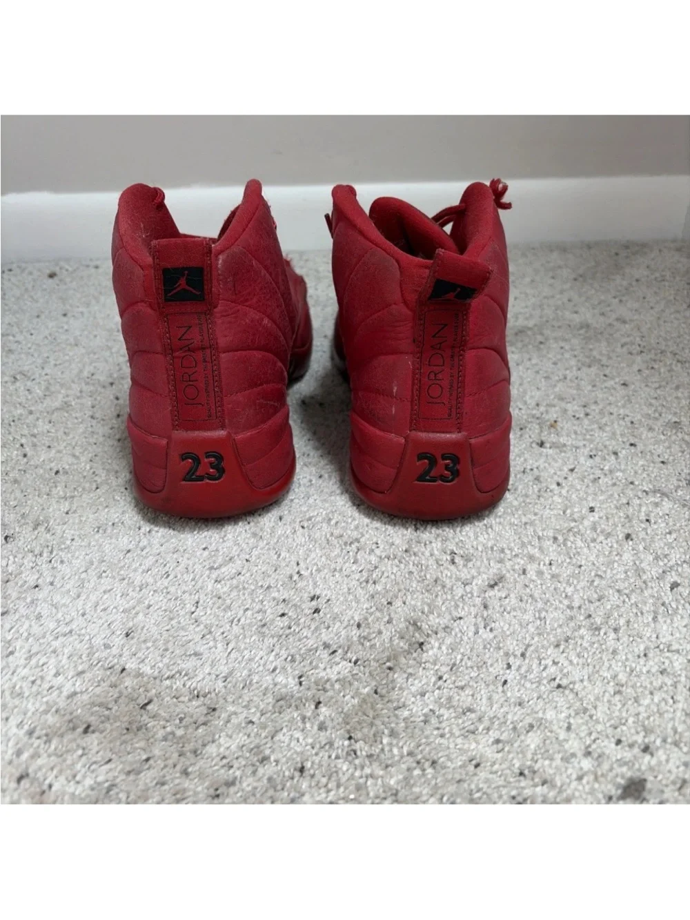 Air jordan 12 shoes  Men's size 11.